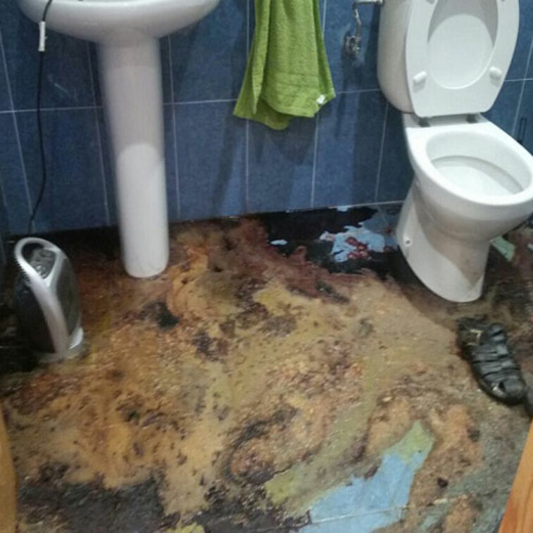 Limpieza muerte traumática