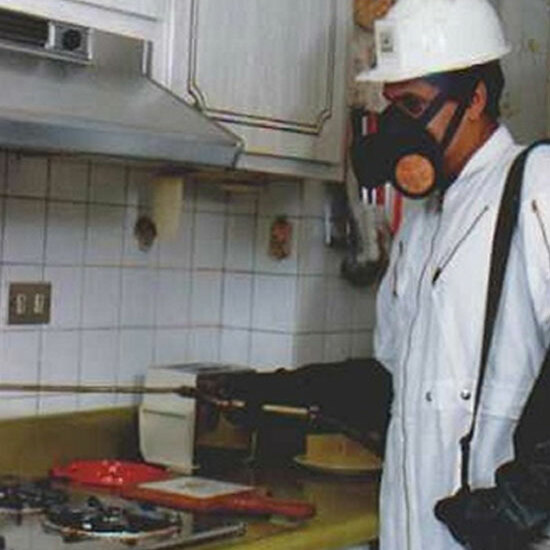 Desinsectación desratización